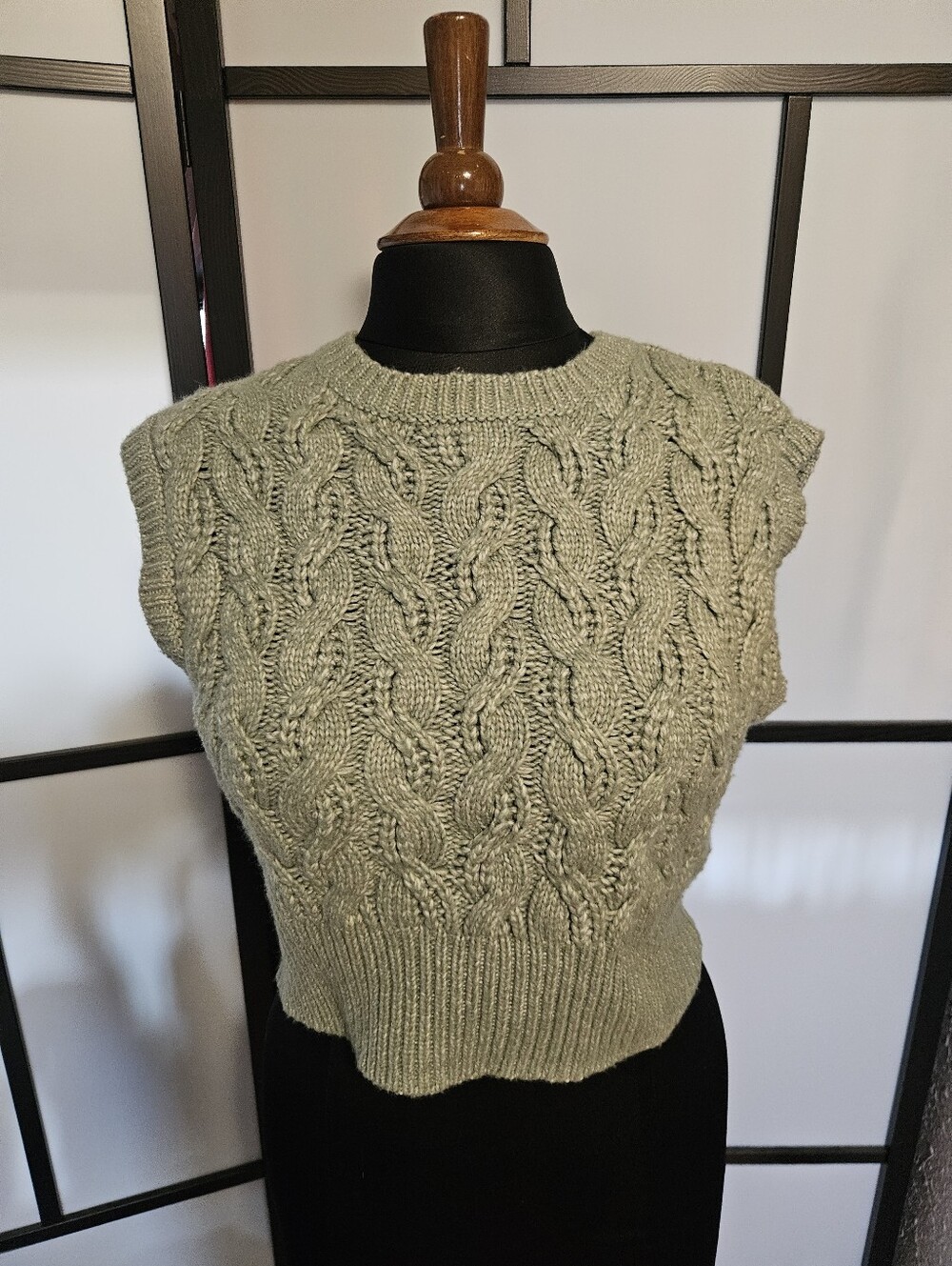 Sincerely Jules Mint Green Knit Top Vest Sweater